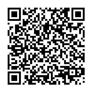 因为他不确定自己还能不能再配齐这样一幅已经无法用金钱来衡量的药材二维码生成