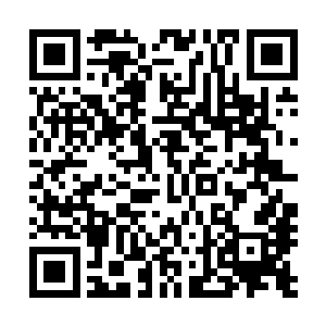 因为他也明白……对手在第十九回合前猜出答案的几率很高二维码生成