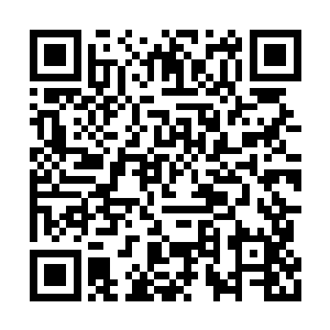 因为他从没听说过有谁能够真的抓到一只灵兽的二维码生成