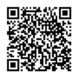 因为他们不知道在他们认为药材已经到了最佳的时刻之时二维码生成