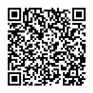 因为他们俩同时在做dna测序的重复实验――杨锐为了pcr而做的基础检查工作二维码生成