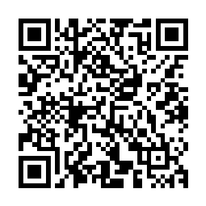 因为他们刚要进电梯的时候就迎面碰上了从电梯里出来的秦玉珊二维码生成
