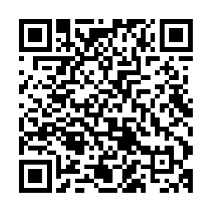 因为他们发现自己的解毒丹竟然对体内中的毒素根本没有作用二维码生成