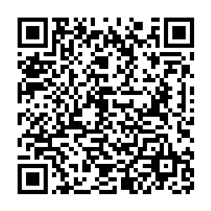 因为他们始终确保我在合适人群的监护下――比起那些继承了大笔财产二维码生成
