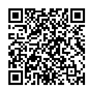 因为他们已然将梓箐两人当成提升他们等级和实力的囊中之物了二维码生成