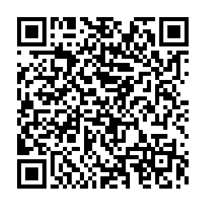 因为他们很早就收到消息说华南军校的大军已经抵达了西北城旁边二维码生成