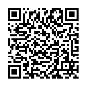 因为他们总是可以从表演之中获取更多的经验和教训二维码生成