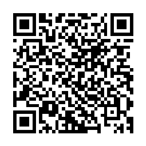 因为他们无法割舍的下他们的家人还有生活了这么多年的家乡二维码生成