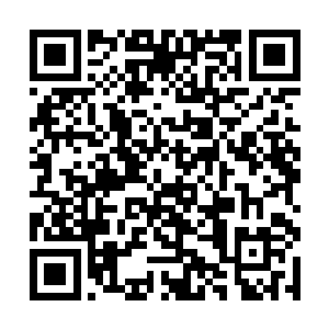 因为他们无论使用什么东西都无法伤害到雕像的分毫二维码生成