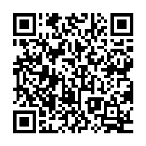 因为他们早就已经对地灵一族的所有人使用过各种各样的办法了二维码生成