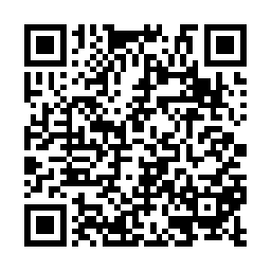 因为他们本来就觉得秦宇不可能请得动轮回殿殿主二维码生成