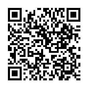 因为他们此时感觉到许紫烟不仅仅是没有丝毫元力受损的模样二维码生成