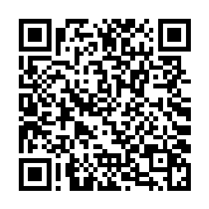 因为他们的其他球员实力完全没办法和拜仁慕尼黑比二维码生成