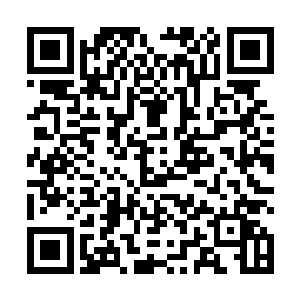 因为他们种了好几个月眼看就要成熟的稻谷全都枯死了二维码生成