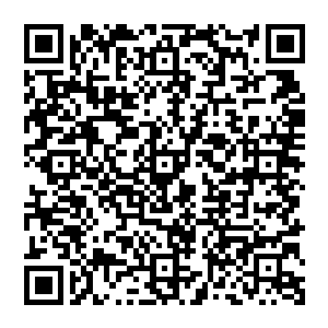 因为他们这些家族的少主都想要利用这个机会让他们家族的少主在魔界界主王宝的面前露露脸二维码生成