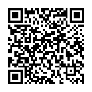 因为他们都将成功的经验用在了不太一样的领域上面二维码生成