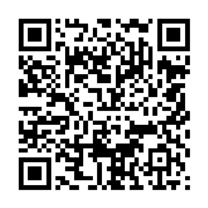 因为他原本恢复不多的念力在这一刻又全部使用殆尽二维码生成