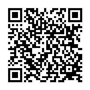 因为他发现无论自己设计的犯罪有多么精妙多么天衣无缝二维码生成