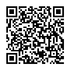 因为他发现眼前的丹药根本就不是自己认识的任何丹药中的一种二维码生成