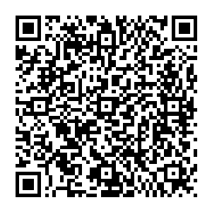 因为他固执的坚守着那些即使总有一日会强大到伤害他的邪恶执念是三族族人遗留下的属于他们最后的痕迹二维码生成