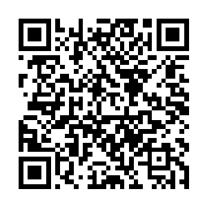 因为他完全懵圈了……魔帝超级飞行器……的设计者二维码生成