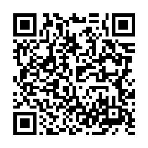 因为他已经连续一年多没从主子手里拿到一文钱的赏钱了二维码生成