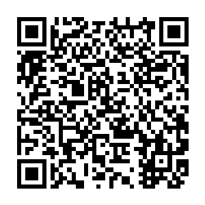 因为他清晰的感觉得到流墨墨舍弃掉的那股神识被他体内他自己无法控制二维码生成