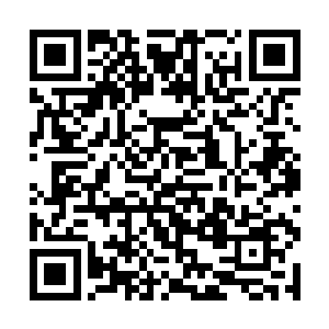 因为他看到有不少族人开始慢慢的清理这些残垣断壁二维码生成