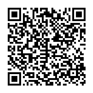 因为他认为以葬天一族的身体素质绝对会赢过是人族的秦宇和阿龙二维码生成