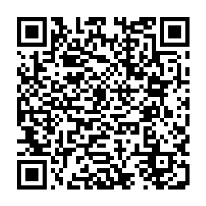 因为以往马教授也不知道按照古医书上记载的针法在自己的身上试练了多少次了二维码生成