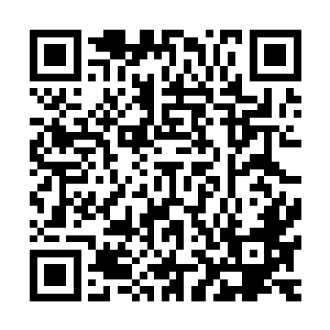 因为伪仙界的灵草仙草和晋元界的灵草仙草完全就是两个概念二维码生成
