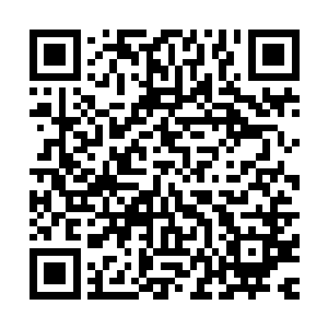 因为信任守护者们大多是岛国人这件事在国内还是掐过几次的二维码生成