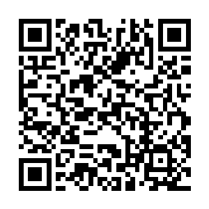 因为修行的缘故导致他的血脉中隐藏着承载力量的基因二维码生成
