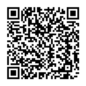 因为几乎整个大厅里的人或多或少都会注意雨果和汤姆一下――最近沸沸扬扬的二维码生成