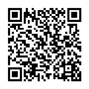 因为刚刚嗤笑他们的那人手里正拿着燕同刚刚领到的报名单子二维码生成