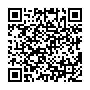 因为刚刚射来的那根箭矢的威力竟然完全被金丝软甲给抵挡住了二维码生成