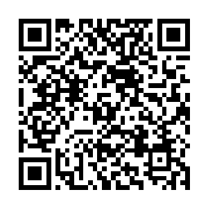 因为刚才夏天使用的招式正是北军的拿手绝技寒冰铠甲二维码生成