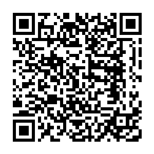 因为刚踏上试炼之路的就算是再厉害的天骄实力也不过是地仙一二重天而已二维码生成
