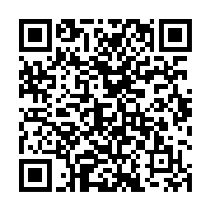 因为前几次的技能她在任务世界中都产生了一定影响的二维码生成