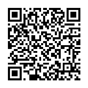 因为受损的皮肤需要在得到新的血管供血才能够成活二维码生成