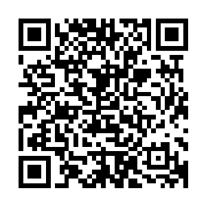 因为在今天晚上进行这次行动的想法也是他白天时候才决定的二维码生成