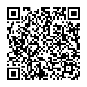 因为在我的身上……基本上已经没有什么可以能移植的完好的皮肤了二维码生成
