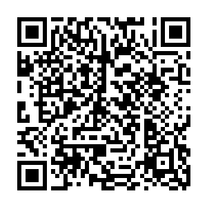 因为在掌法上天赋卓绝的人物也不能在一天内就把空明掌打出代离现在这个样子二维码生成