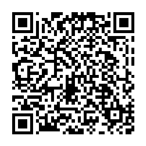 因为在梦中他的爷爷在劝他好好读书天天向上为国家的建设添砖加瓦二维码生成