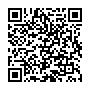 因为在试练中死的子弟过多而随便对其他家族的子弟出手的二维码生成