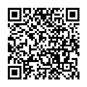 因为在长袍之下他们发现竟然是一堆血肉压榨而成的身体二维码生成