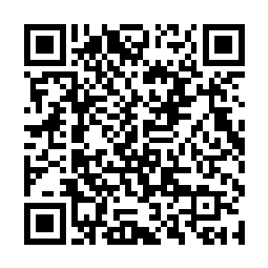 因为墨九可以说是苏族放在皇宫内很重要的一枚棋子二维码生成