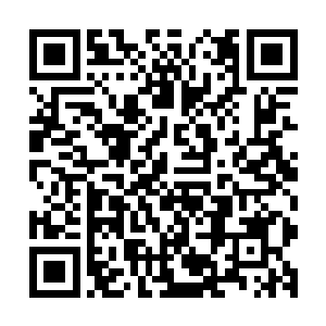 因为夏天的那些丹药和灵器确确实实是被小虫子和小蛇给吃了二维码生成