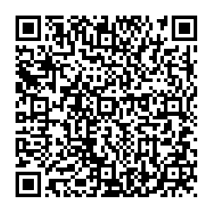 因为大梦还准备把积攒下来的善意都用在之后的查账环节上――福克斯要扣除的发行提成份额已经是不低了二维码生成