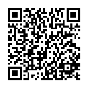 因为她们实在是害怕天道此时会经受不住这样的冲击二维码生成